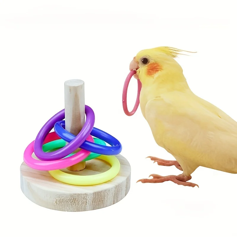 لعبة حلقة الببغاء التفاعلية ال - مراجعة Gymnastic Ring Wood وسعره